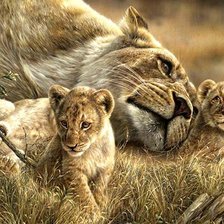 Схема вышивки «львята»