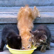 Схема вышивки «Всегда будь на ступеньку выше!»