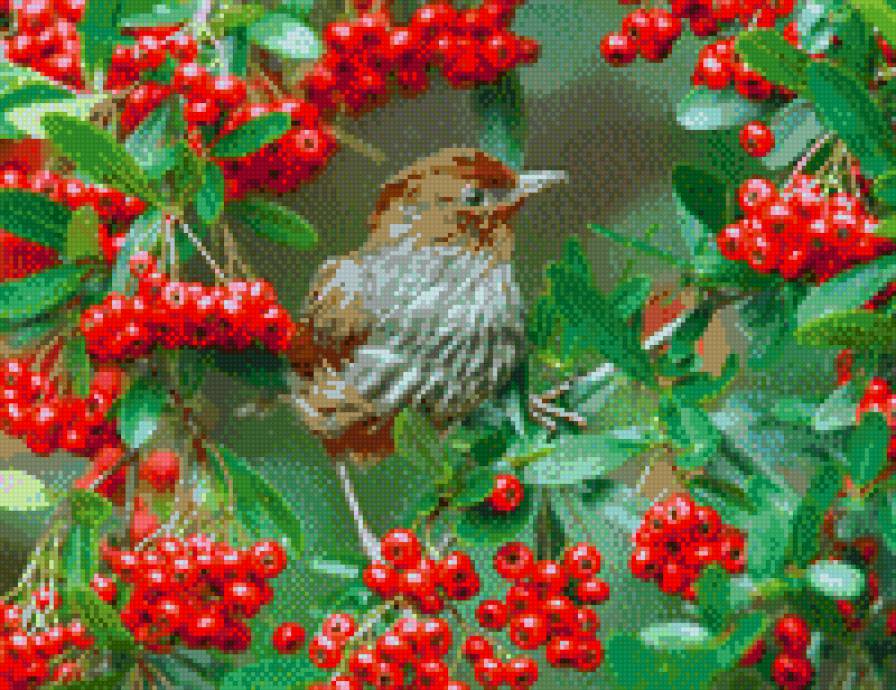 горобина - предпросмотр