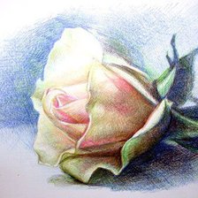 Схема вышивки «рисованные цветы-3»