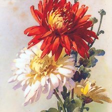 Схема вышивки «рисованные цветы-4»