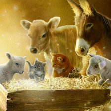 Схема вышивки «№731408»