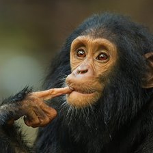 Схема вышивки «Мыслитель»