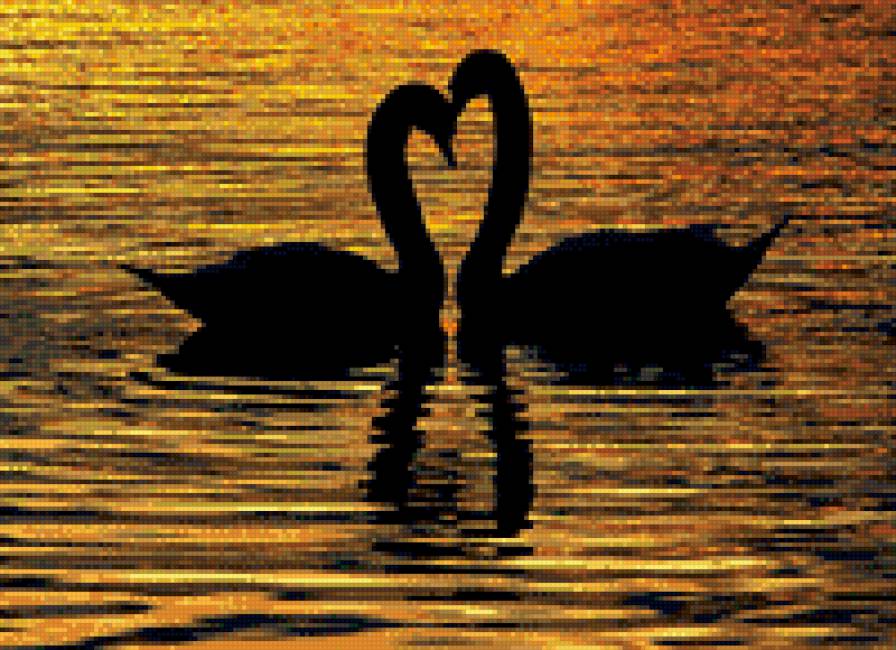 монохром - свет, лебеди, пара, тень, любовь, солнечный свет - предпросмотр