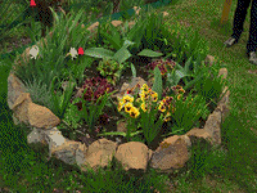 Клумба - зелень, анютыны глазки - предпросмотр