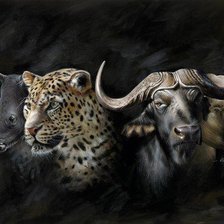 Схема вышивки «звериное панно»