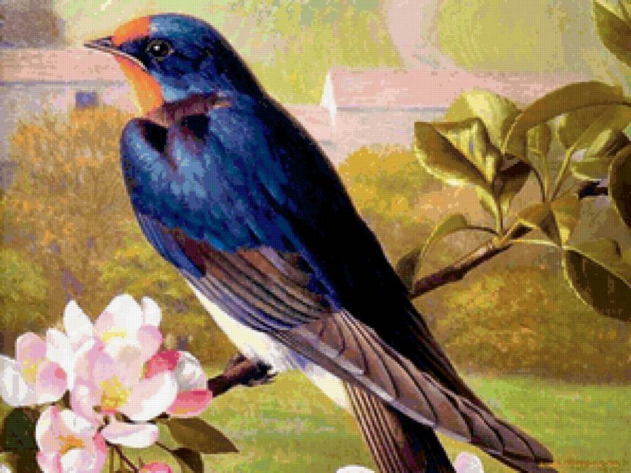 Птичка - птицы, природа - предпросмотр