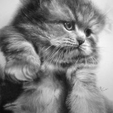 Схема вышивки «котенок»