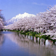 Схема вышивки «По берегам реки»