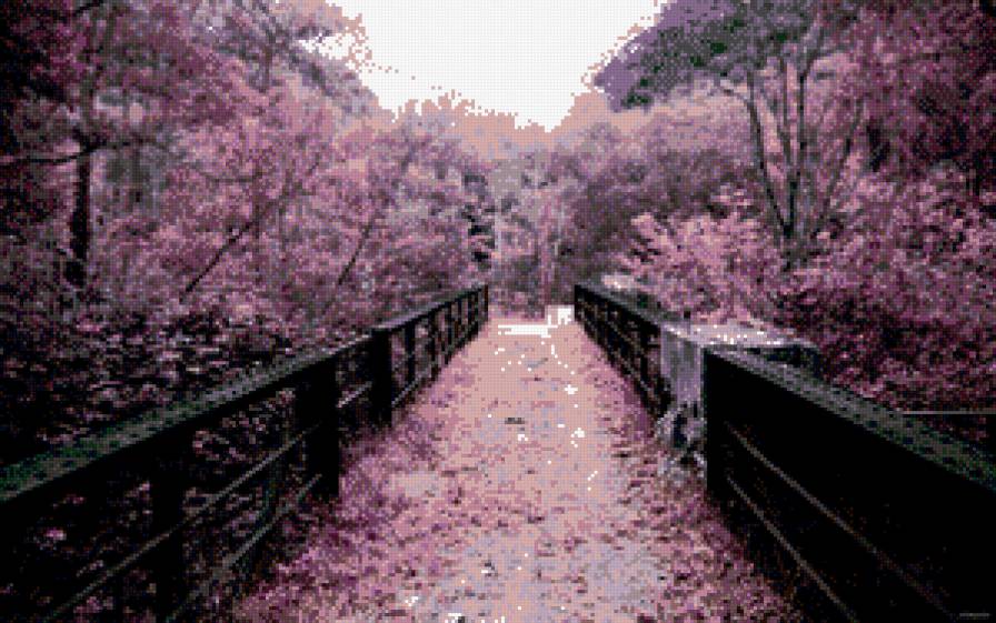 Мост и сакура - предпросмотр