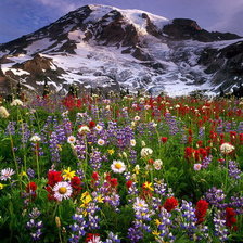 Схема вышивки «У подножия горы»