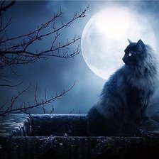 Схема вышивки «Лунный кот»