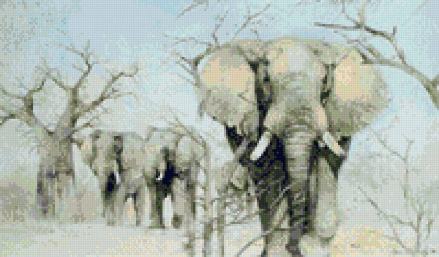 слоны - слоны. животные .африка - предпросмотр