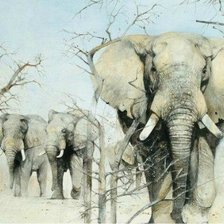 Схема вышивки «слоны»