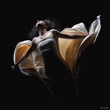 Схема вышивки «полёт2»