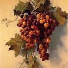 Схема вышивки «виноград»