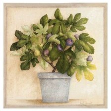 Схема вышивки «инжировое дерево»