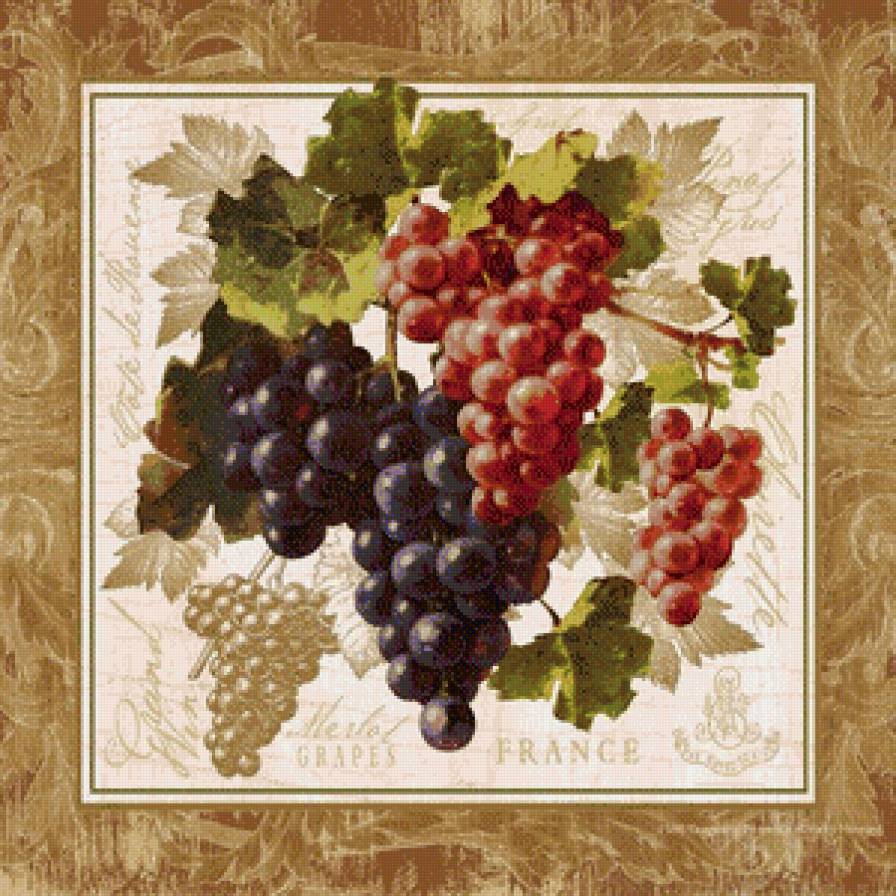 виноград2 - предпросмотр