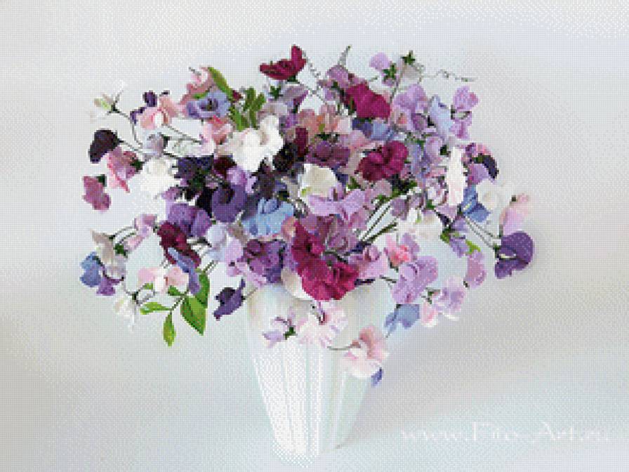 душистый горошек - предпросмотр