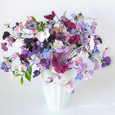 Схема вышивки «душистый горошек»