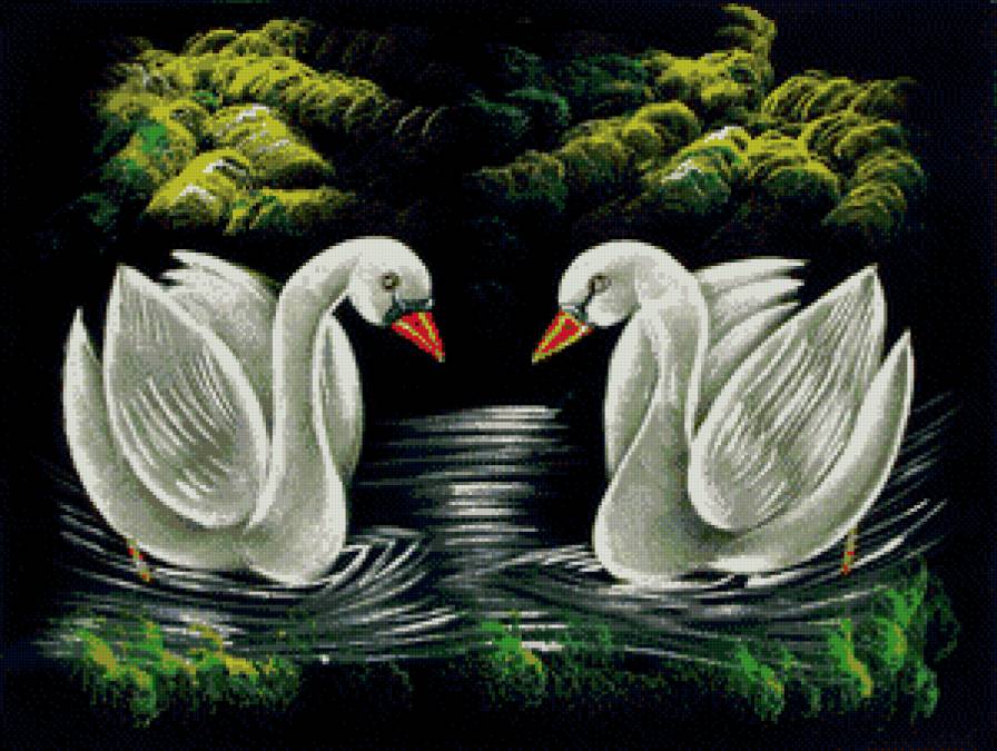 пара лебедей - природа, пано, пейзаж, птицы - предпросмотр