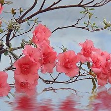 Схема вышивки «Сакура над водой»