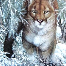 Схема вышивки «Лесная красавица»