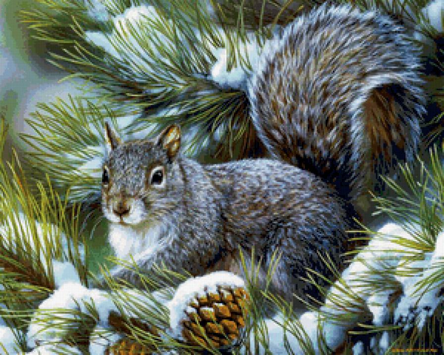 Белочка - животные - предпросмотр