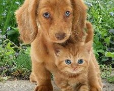 Схема вышивки «малыши»