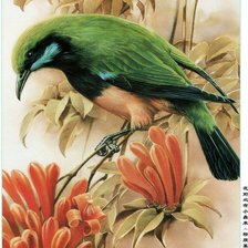 Схема вышивки «птица5»