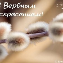 Схема вышивки «№732825»