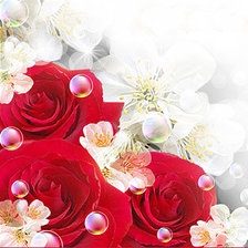 Схема вышивки «Розы-2»