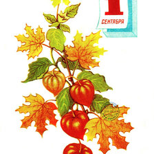 Схема вышивки «с первым сентября!»