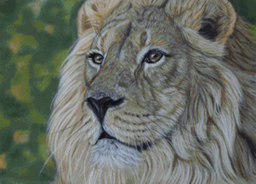 Лев - животные, лев - предпросмотр