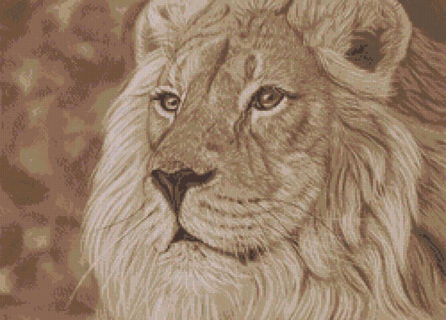 Лев - лев, животные, монохром, сепия - предпросмотр