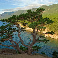 Схема вышивки «природа»