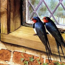 Схема вышивки «Ластоки»