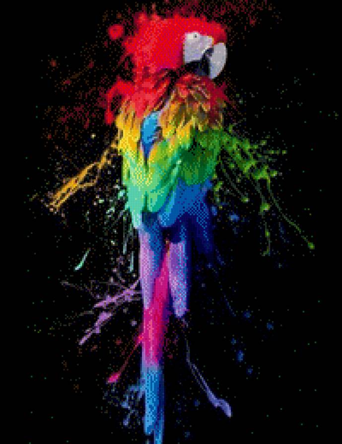 попугай - предпросмотр