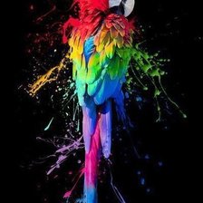 Схема вышивки «попугай»