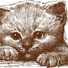 Схема вышивки «котенок»