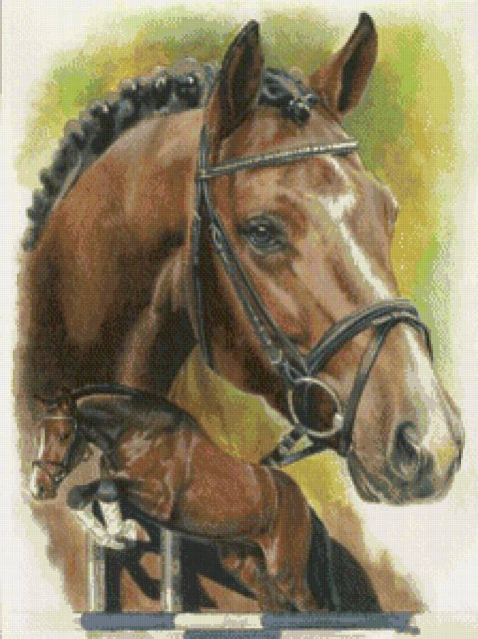 лошади - женщина, красота, природа - предпросмотр