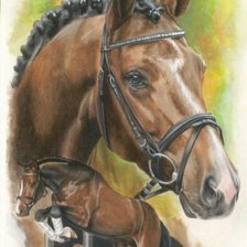 Схема вышивки «лошади»