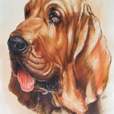 Схема вышивки «собака»