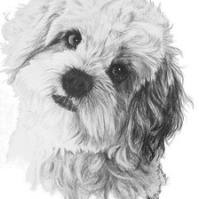 Схема вышивки «собаки»