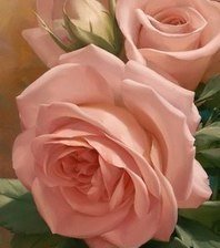 Схема вышивки «роза»