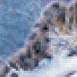 Предпросмотр схемы вышивки «снежный барс» (№733561)