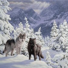 Схема вышивки «Волки»