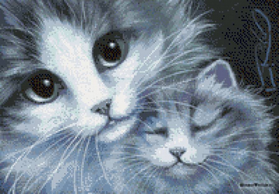 Киски - предпросмотр