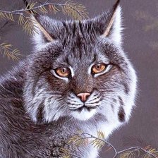 Схема вышивки «№733676»