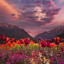 Схема вышивки «№733700»